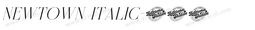 Newtown Italic字体转换